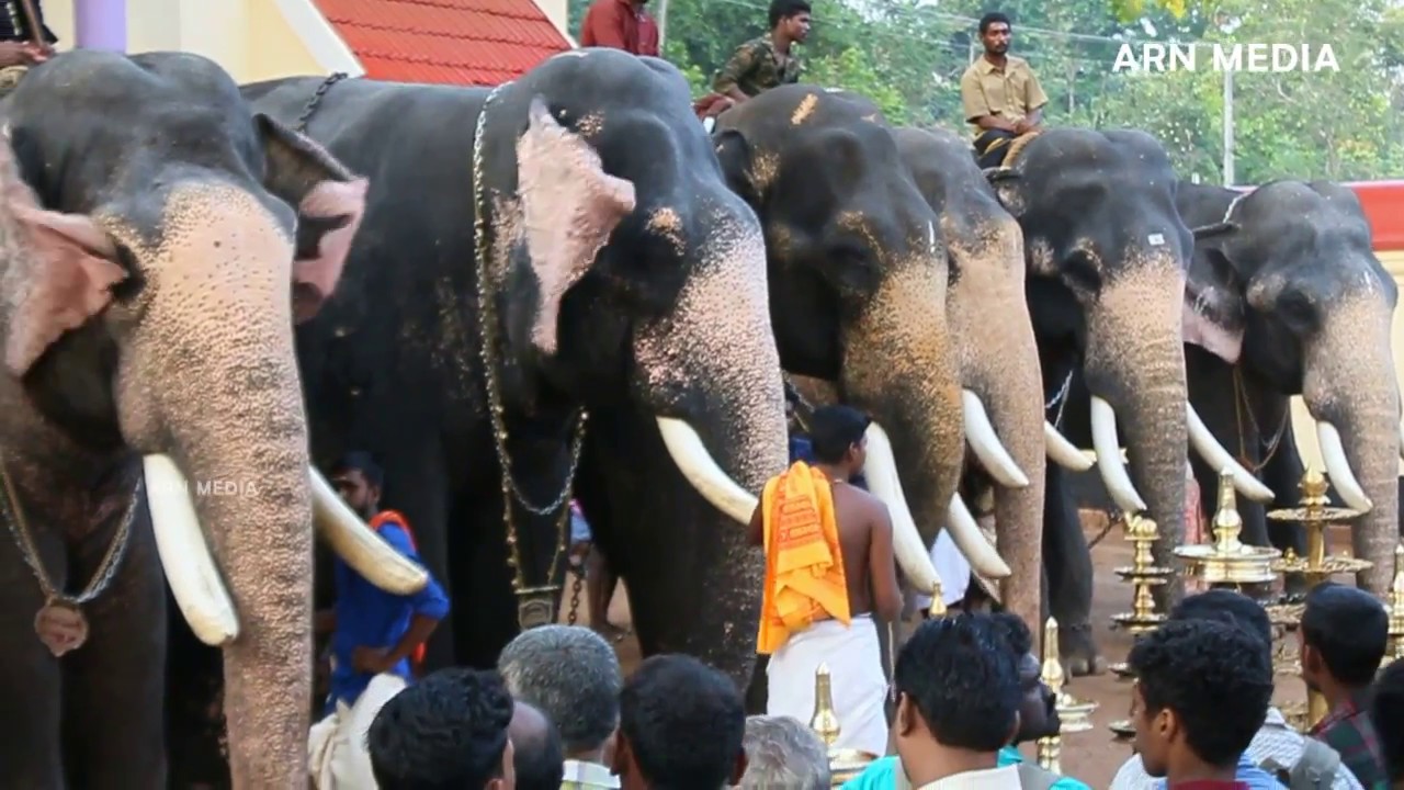 Popular Kerala elephant names കേരളത്തിലെ 378 ആനകളുടെ പേരുകള്‍ 1