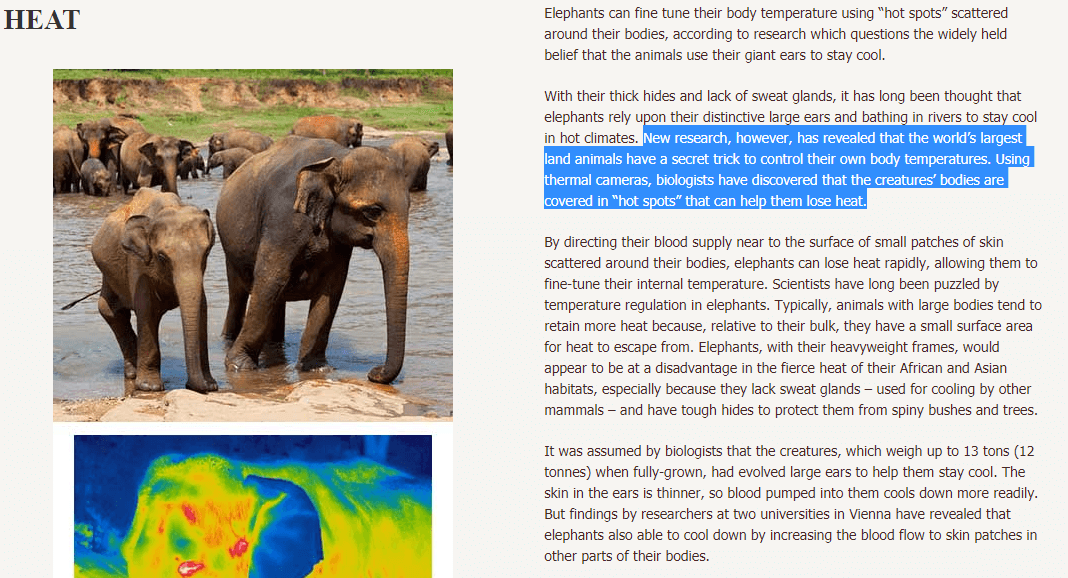 Elephants can fine tune their body temperature using “hot spots”